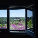 14905ba129306ccbcf18993b460cb119c7296123